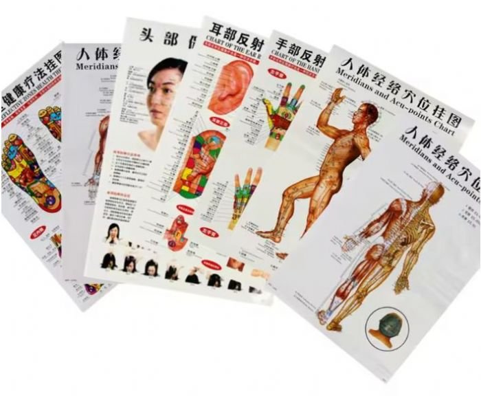 6 מפות דיקור סיני 46X63 ס"מ